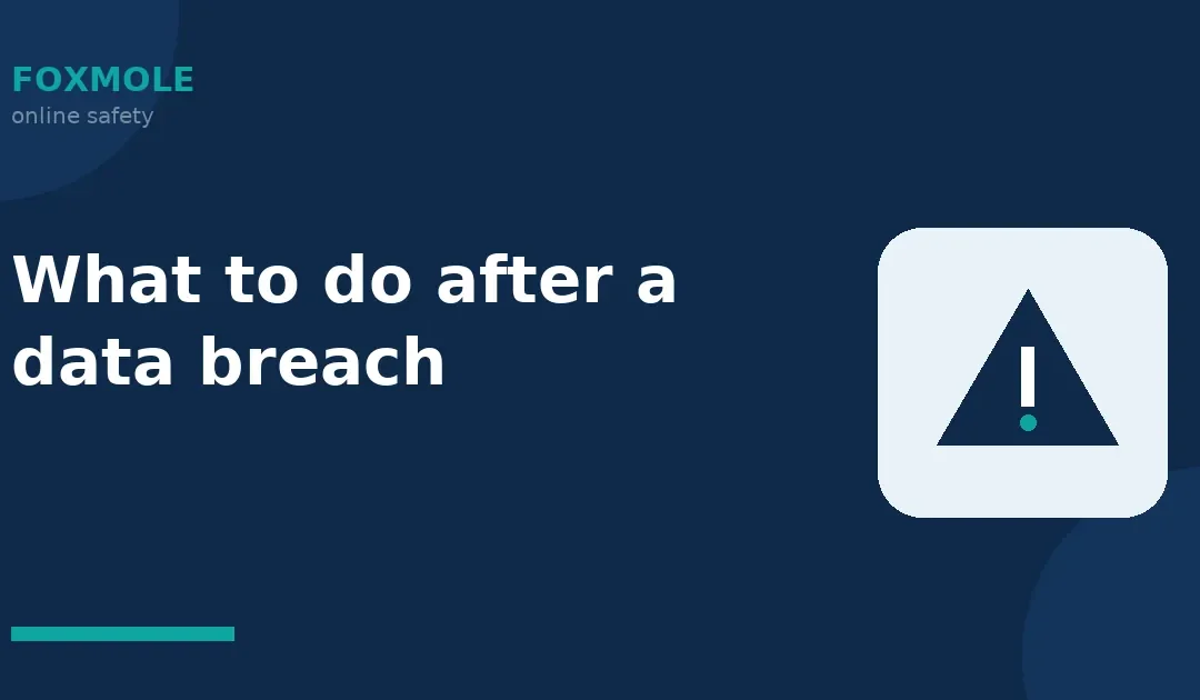 What to do after a data breach
